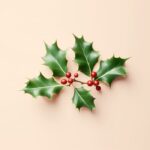 How to buy an iPhone 14 Pro or Pro Max for the holidays